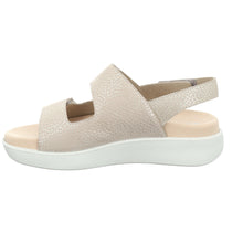 Load image into Gallery viewer, Borneo 06