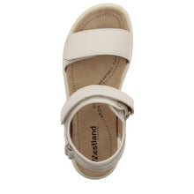 Load image into Gallery viewer, Albi 01