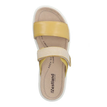 Load image into Gallery viewer, Albi 04