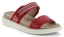 Load image into Gallery viewer, Albi 04