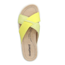 Load image into Gallery viewer, Albi 05