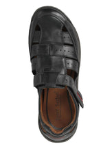 Load image into Gallery viewer, Milo 07