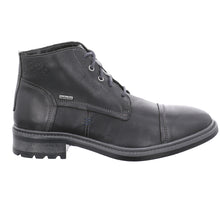 Load image into Gallery viewer, Oscar 23