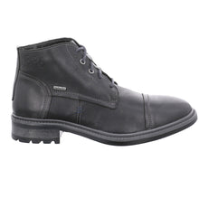 Load image into Gallery viewer, Oscar 23