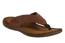 Load image into Gallery viewer, Paul 05