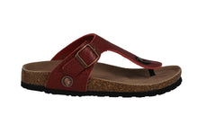 Load image into Gallery viewer, Roemer 07