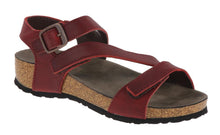 Load image into Gallery viewer, Roemer 06