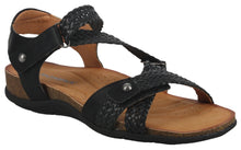 Load image into Gallery viewer, Corkie 02