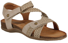 Load image into Gallery viewer, Corkie 02