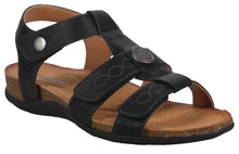 Load image into Gallery viewer, Corkie 04