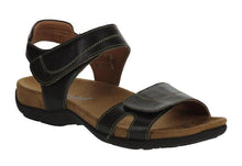 Load image into Gallery viewer, Dalia 01