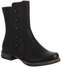 Load image into Gallery viewer, Venus 73