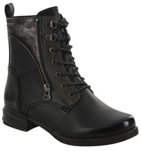 Load image into Gallery viewer, Venus 82