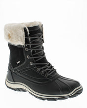 Load image into Gallery viewer, Ventura 04