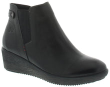 Load image into Gallery viewer, Wilma 01