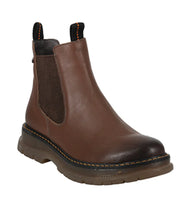 Load image into Gallery viewer, Palomino 02