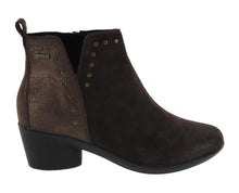 Load image into Gallery viewer, Daisy 01