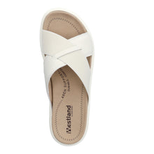 Load image into Gallery viewer, Albi 05