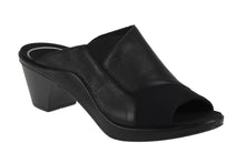 Load image into Gallery viewer, Mokassetta 244