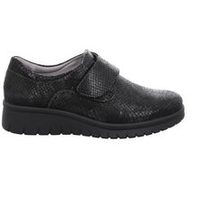 Load image into Gallery viewer, Varese N 12