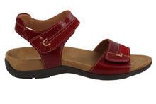 Load image into Gallery viewer, Dalia 02