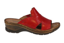 Load image into Gallery viewer, Molly 03