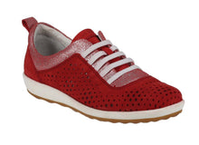 Load image into Gallery viewer, Viola 01