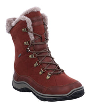 Load image into Gallery viewer, Ventura 06