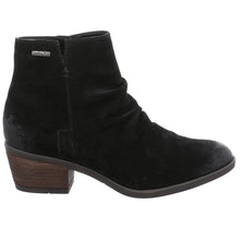 Load image into Gallery viewer, Daphne 50