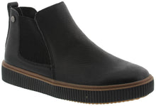 Load image into Gallery viewer, Phoebe 02