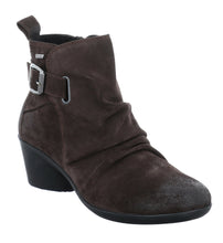 Load image into Gallery viewer, Daisy 04
