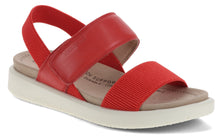 Load image into Gallery viewer, Albi 07
