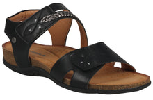 Load image into Gallery viewer, Corkie 05
