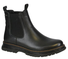 Load image into Gallery viewer, Palomino 02
